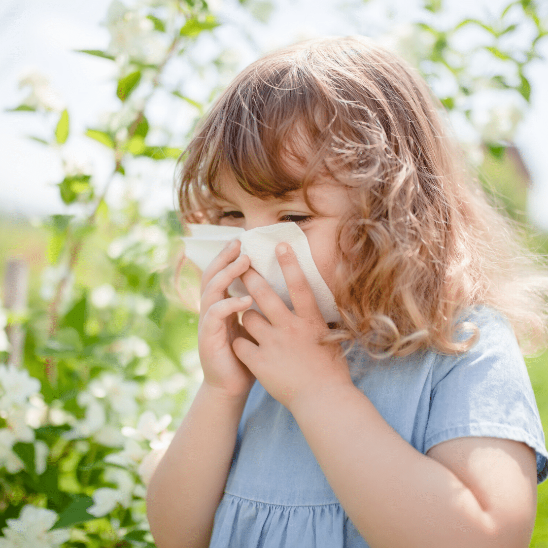 The Basics of Seasonal Allergies Sprouts Health