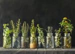 Top 10 Herbs to Reduce Inflammation Naturally in 2025