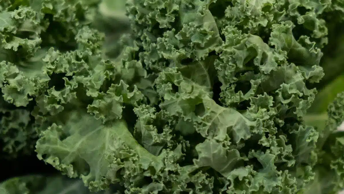 Reduce Inflammation and Lose Weight